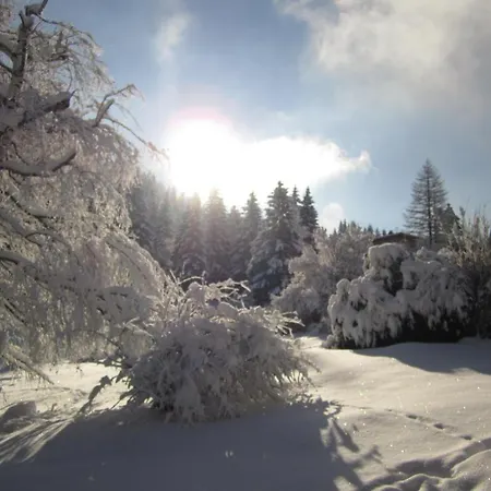 Beausoleil Bed & Breakfast Chamonix